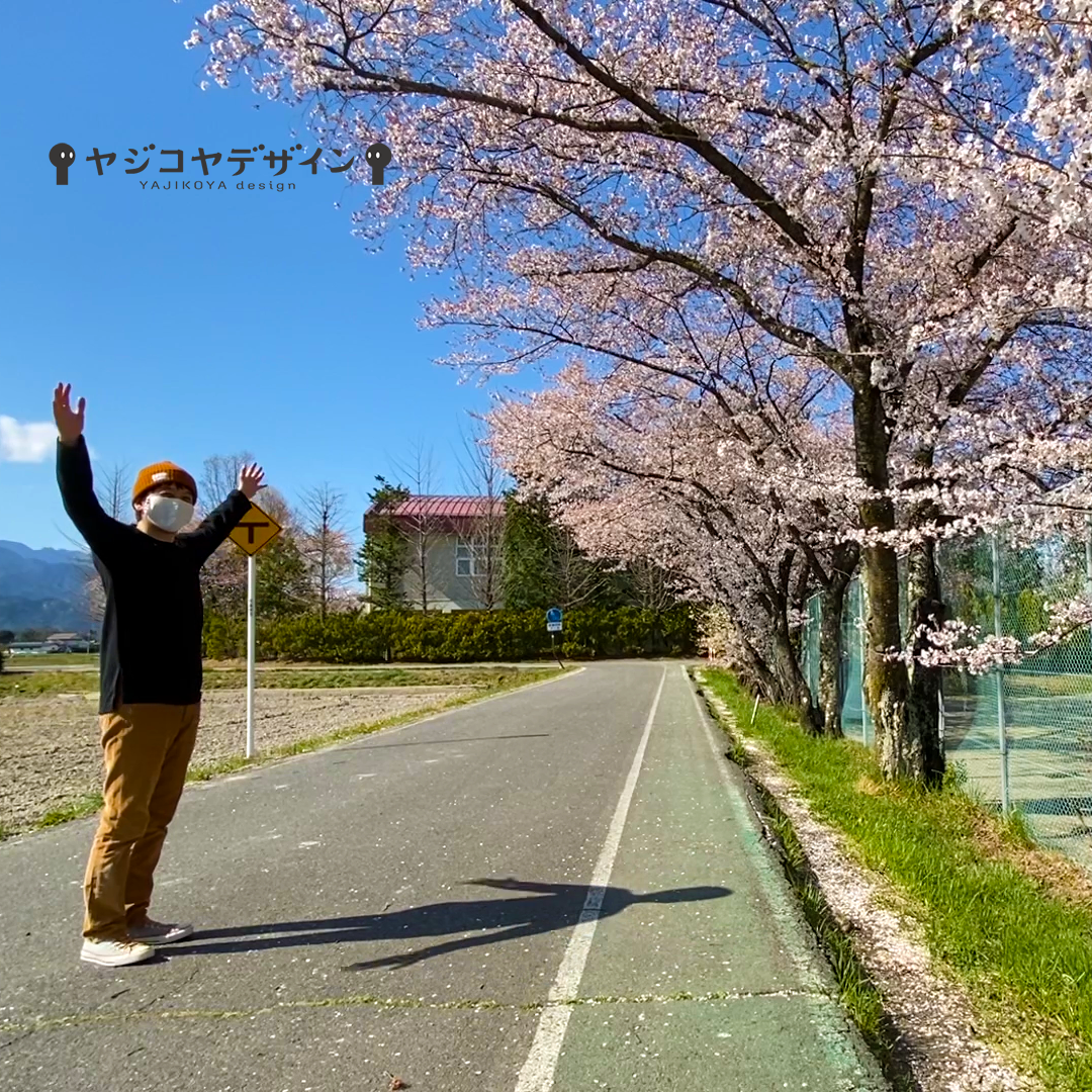 シネマグラフ桜と影