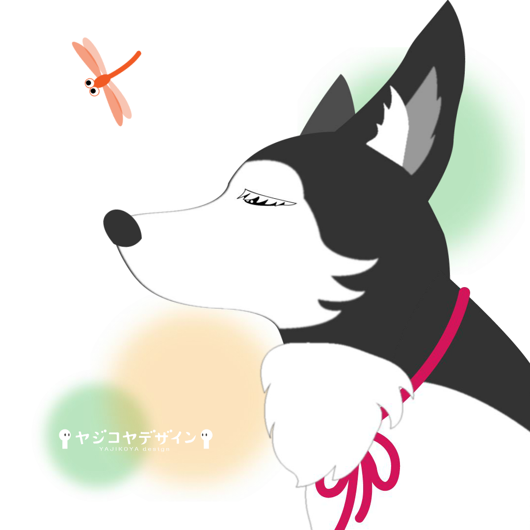 愛犬ボッコ